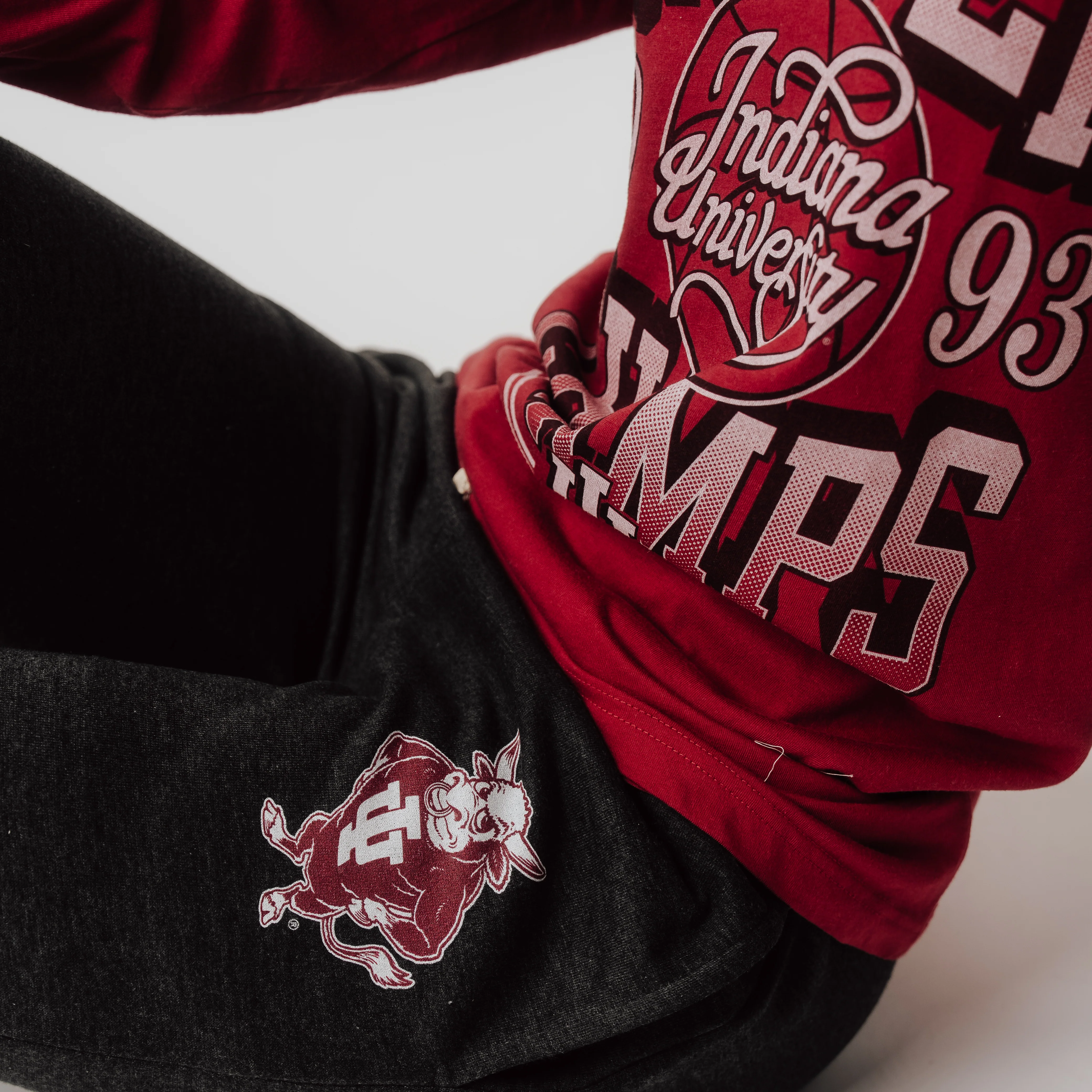 1960s Vintage IU Hoosiers Bison Joggers - Image 2