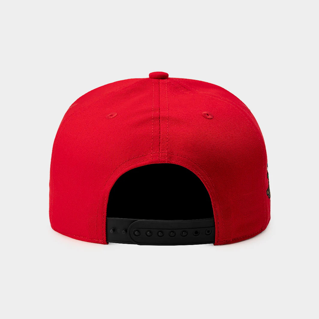 1970s and '80s-Inspired IMS Vintage Snapback Hat - Image 2