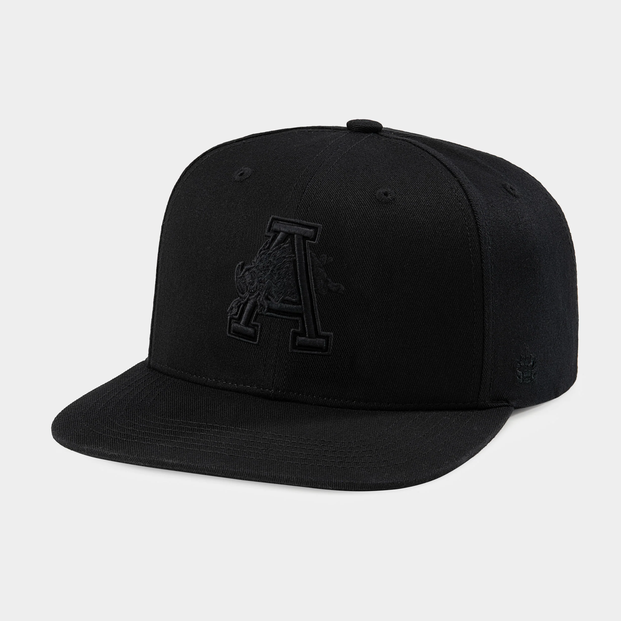 Arkansas Razorbacks Logo Blackout Snapback Hat
