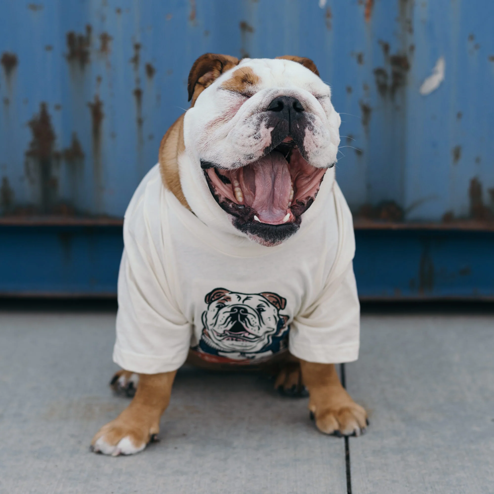 Butler Blue IV Tee - Image 2