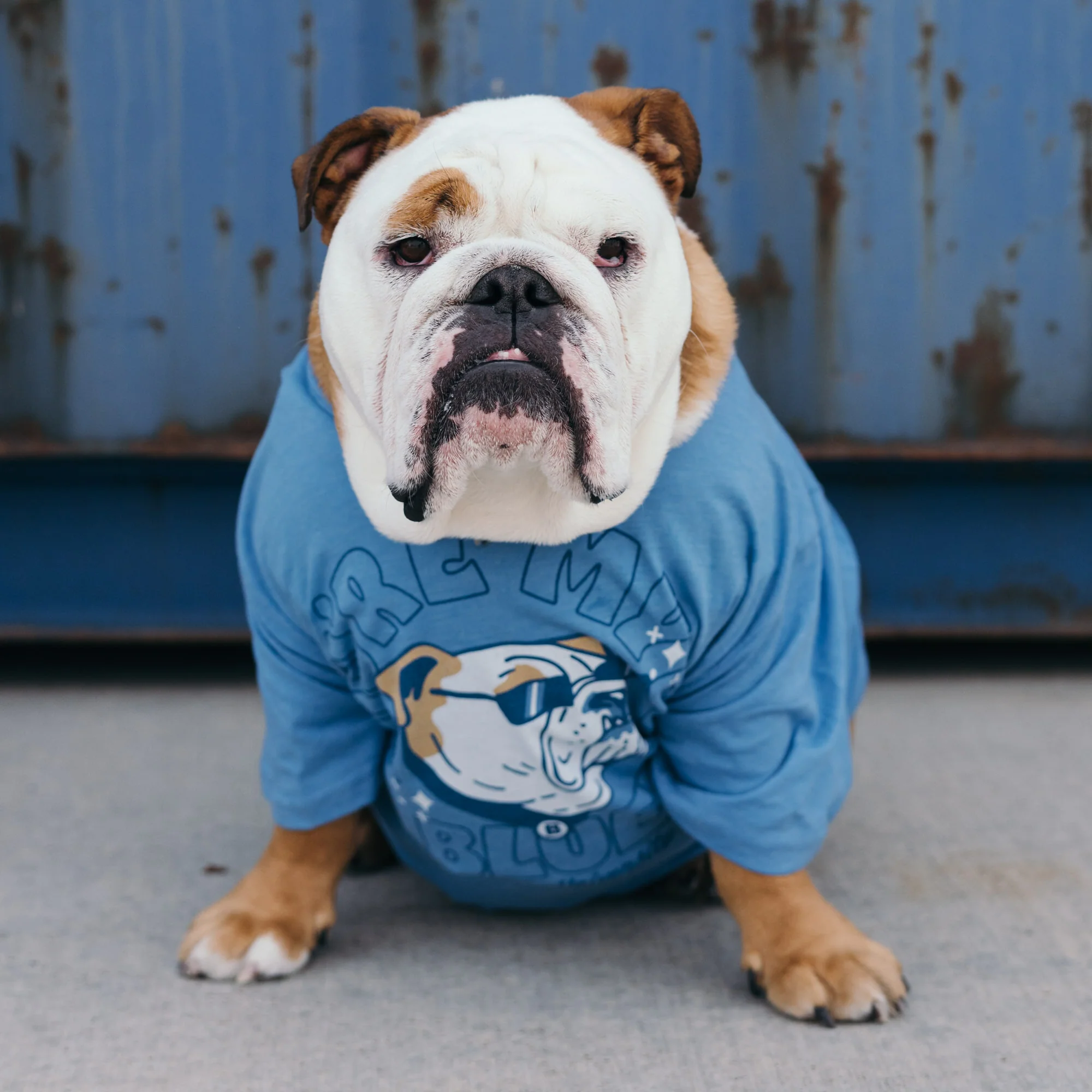 Butler "You're My Boy, Blue!" Tee - Image 2