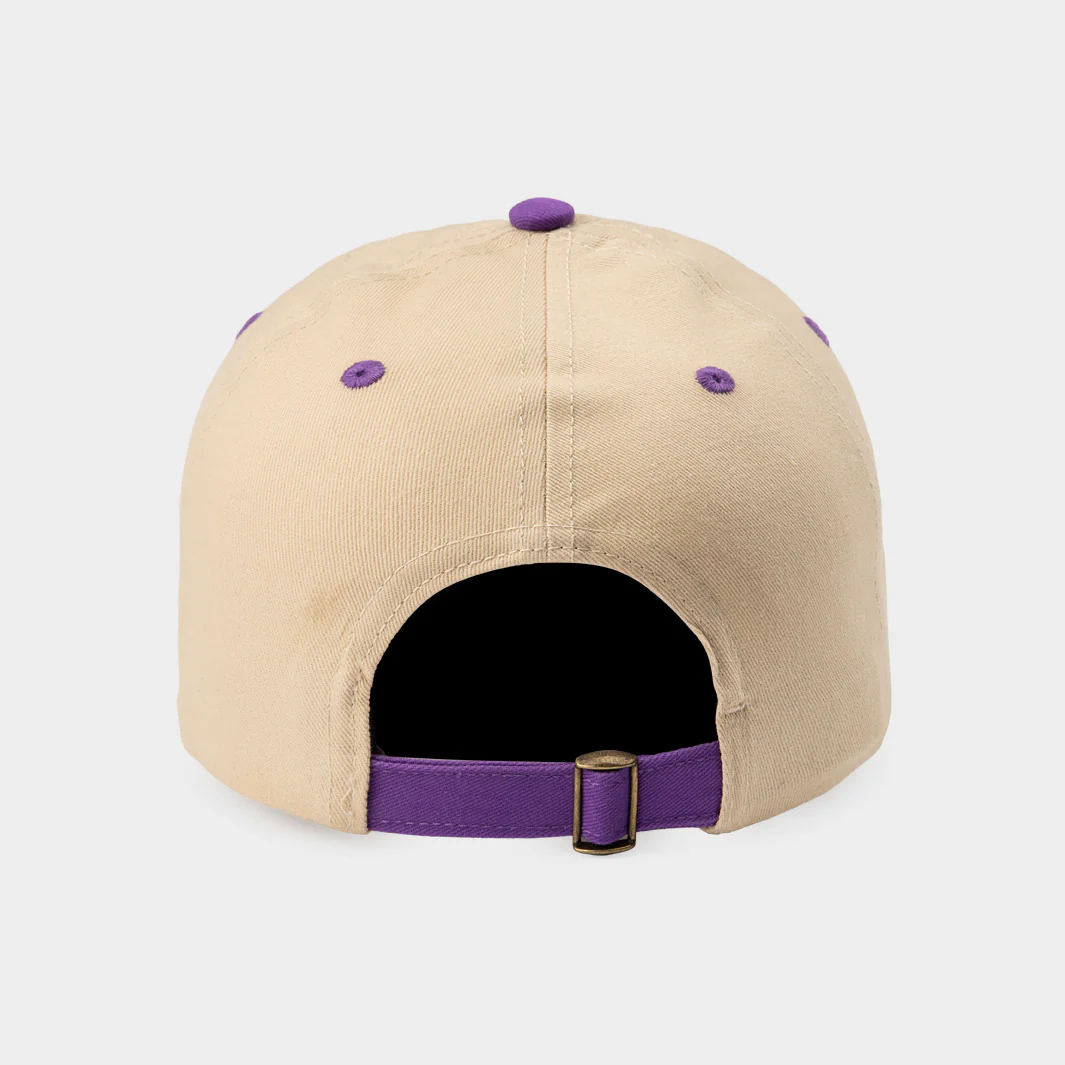Evansville Aces Two-Tone Dad Hat - Image 3