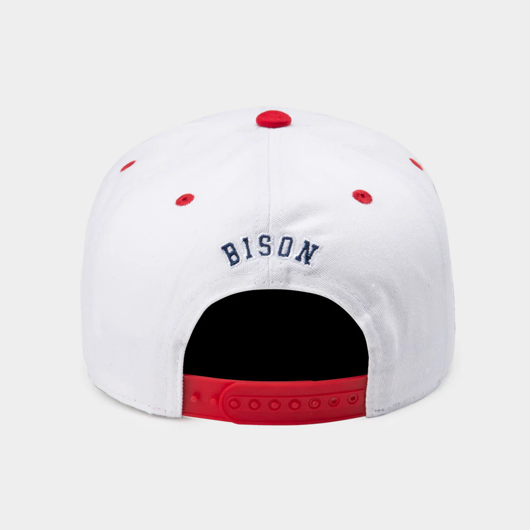 Howard Bison Retro '90s-Inspired Snapback - Image 3