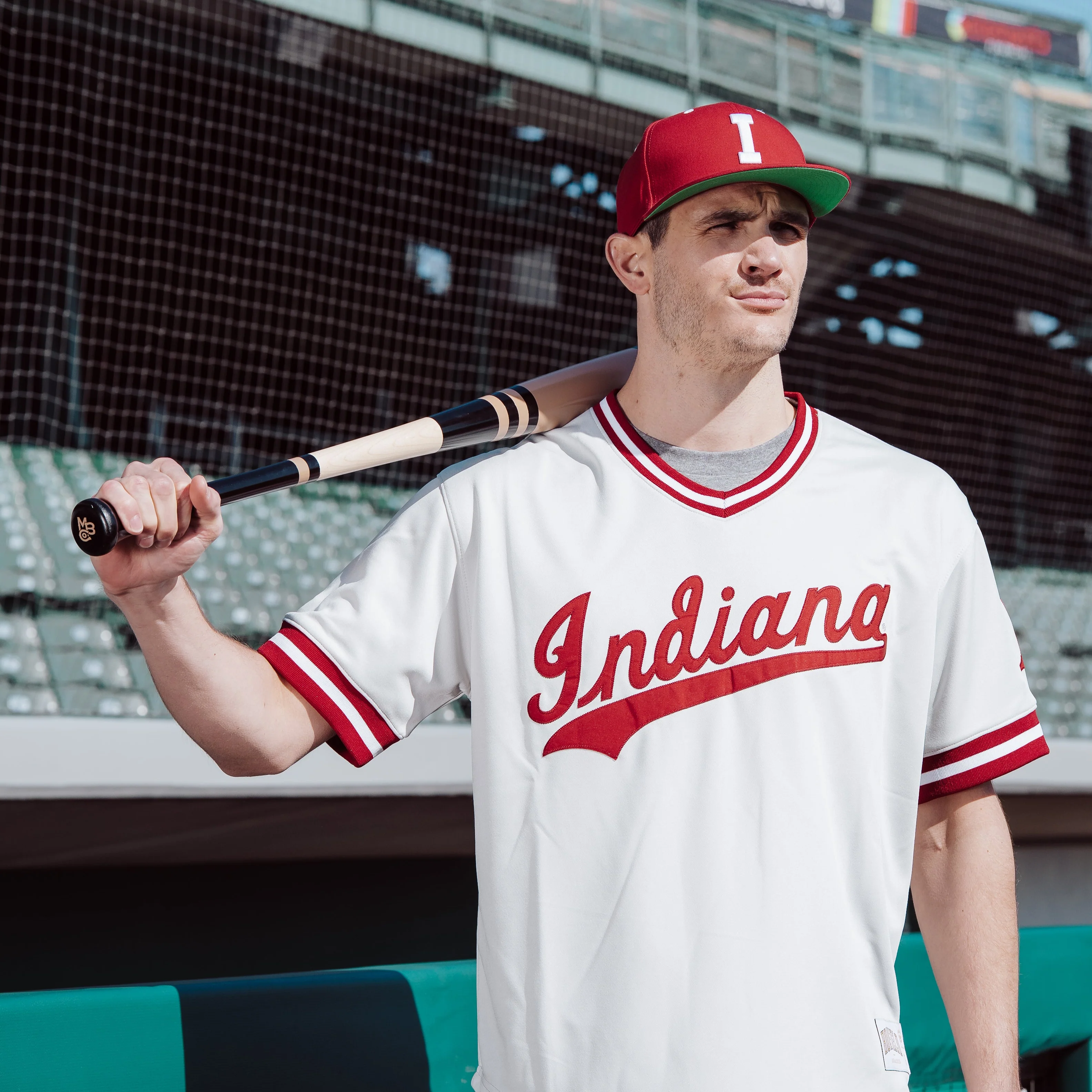 Indiana Baseball Ballpark Bundle - Image 5
