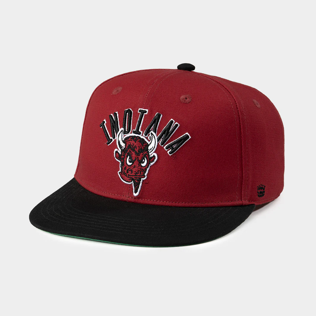 Indiana Hoosiers Vintage Bison Snapback Hat