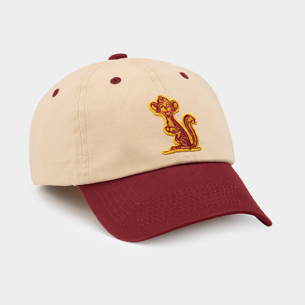 Minnesota Vintage Golden Gopher Two-Tone Dad Hat - Image 2
