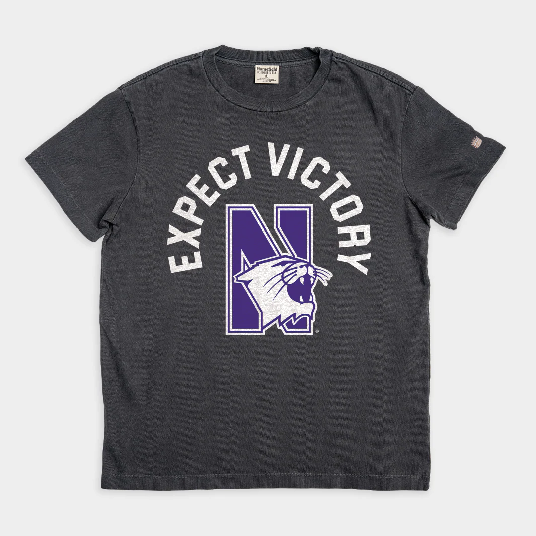 Retro 1995 Northwestern “Expect Victory” Vintage Heavyweight Tee