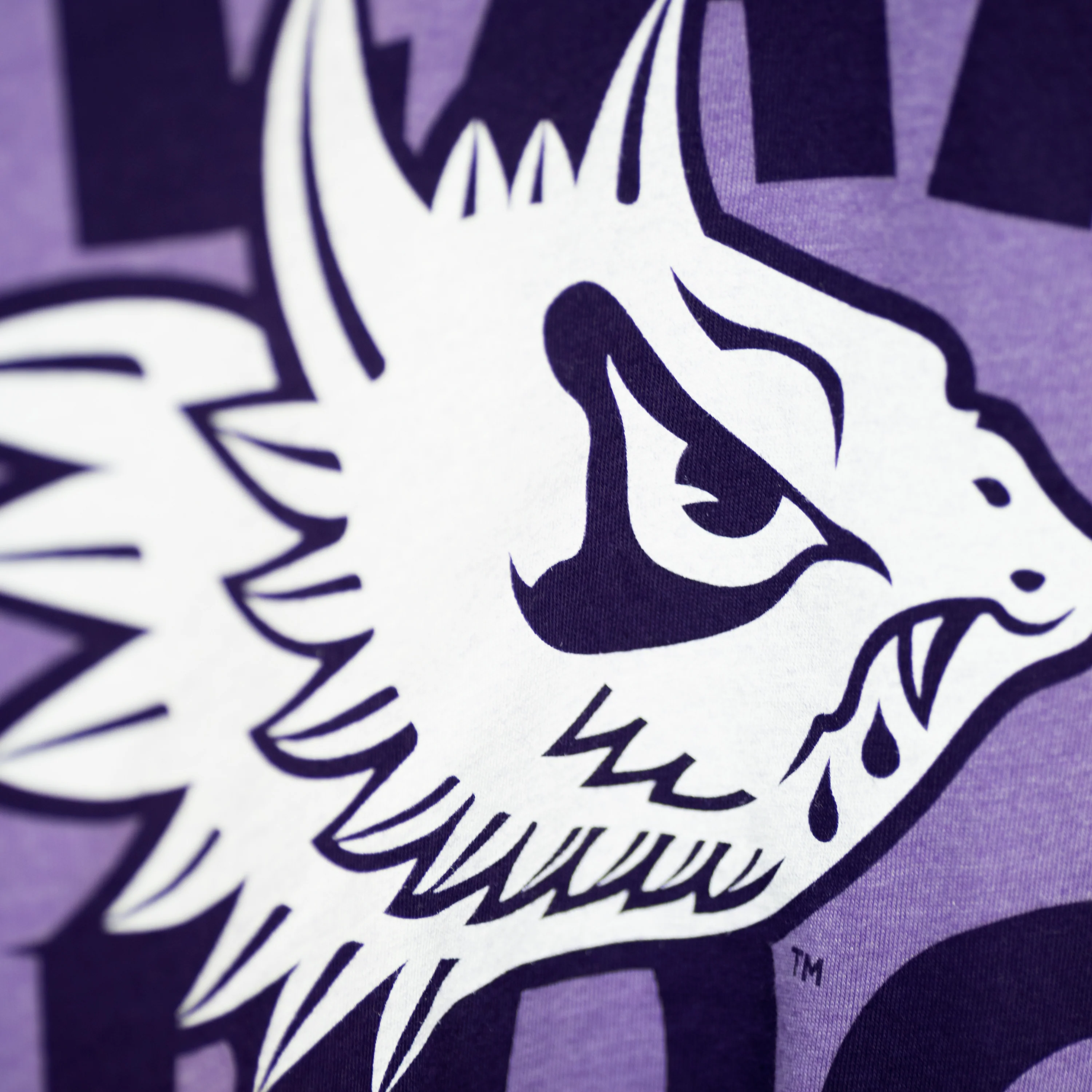 TCU Fear the Frog Vintage Tee - Image 2