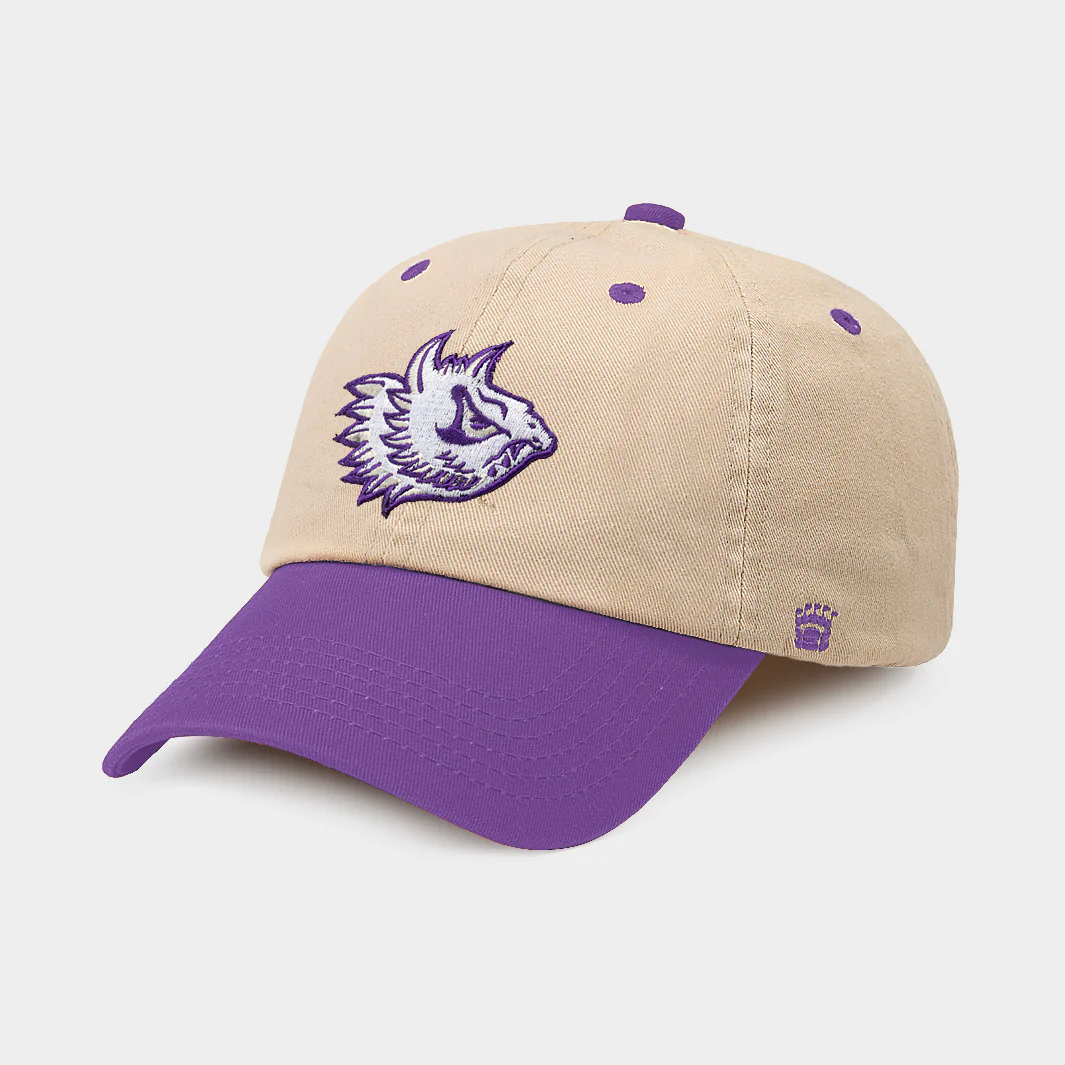 TCU Horned Frogs Vintage Two-Tone Dad Hat
