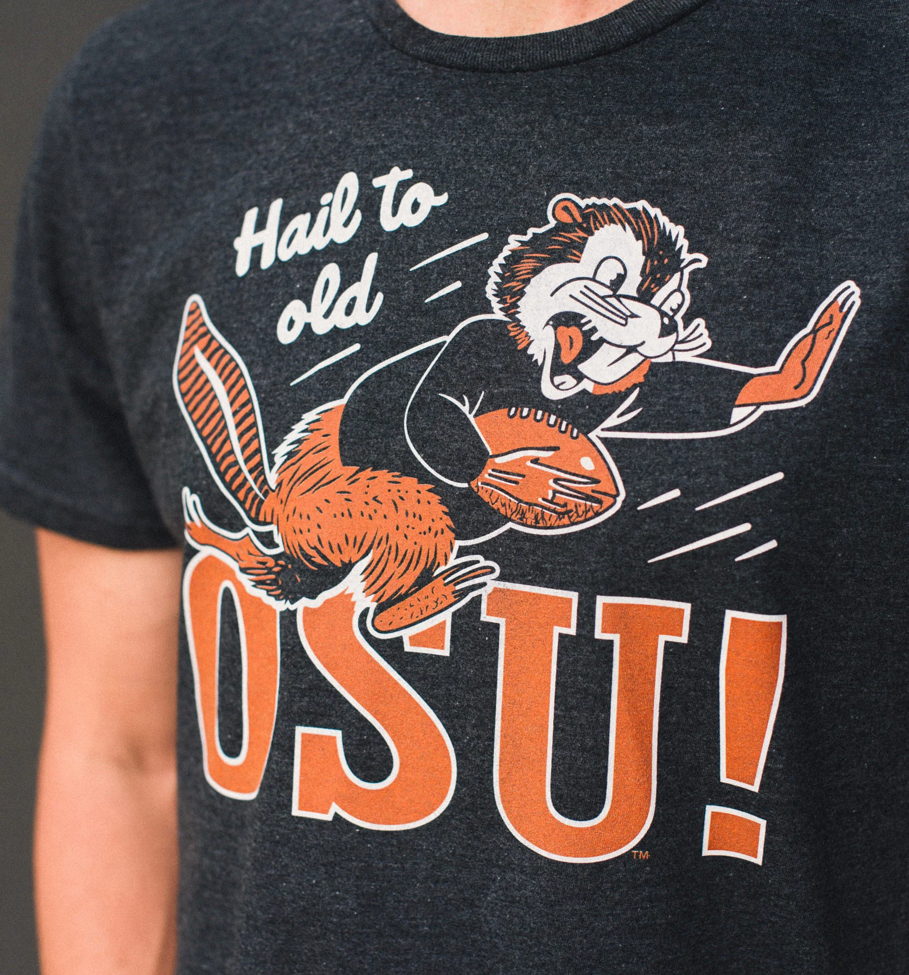 Vintage Hail to Old OSU Football Beaver Tee - Image 2